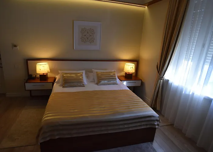 索克拉特酒店 地拉那