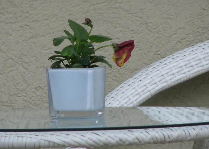 酒店 索克拉特酒店 4*