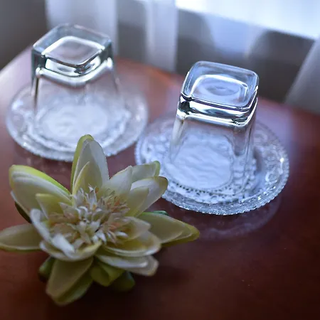 Отель Sokrat 4*