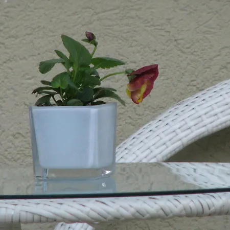 Отель Sokrat 4*